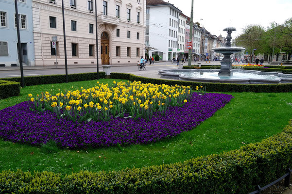 Frühling in der Gartenstadt Winterthur
