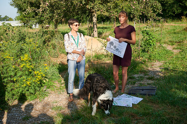 VSSG Jahreskonferenz 2019 in Lausanne