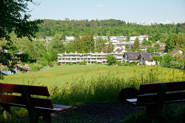 Rosenberg Winterthur