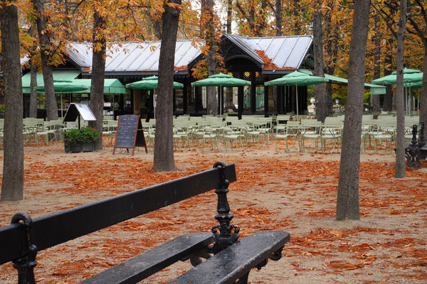 Herbst im Jardin du Luxembourg