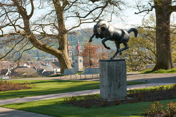 Frühling im Rosengarten