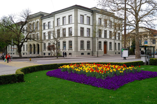 Frühling in der Gartenstadt Winterthur