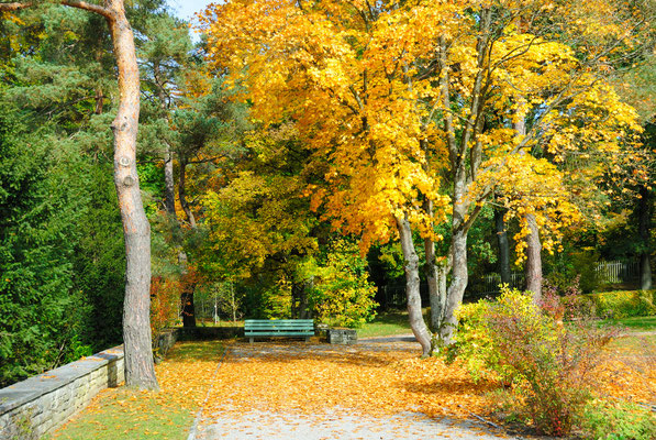 Rosenberg Winterthur, Friedhof Rosenberg