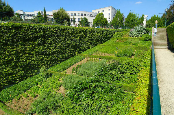 Auf der Promenade plantée oder Coulée verte René-Dumont