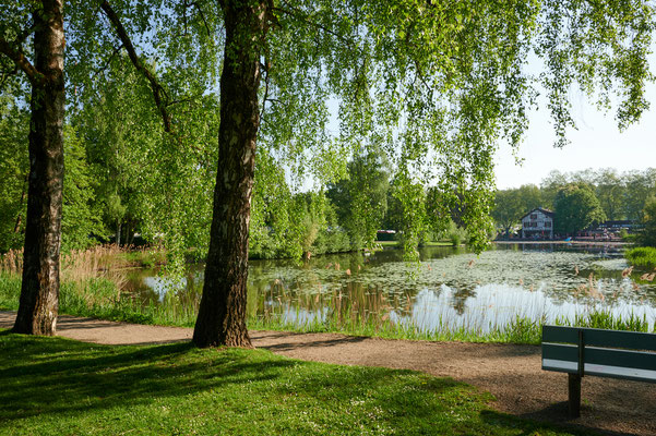 Rosenberg Winterthur, Schützenweiher