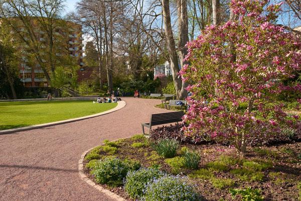 Frühling in der Gartenstadt Winterthur