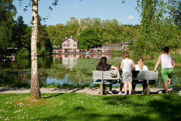 Rosenberg Winterthur, Schützenweiher