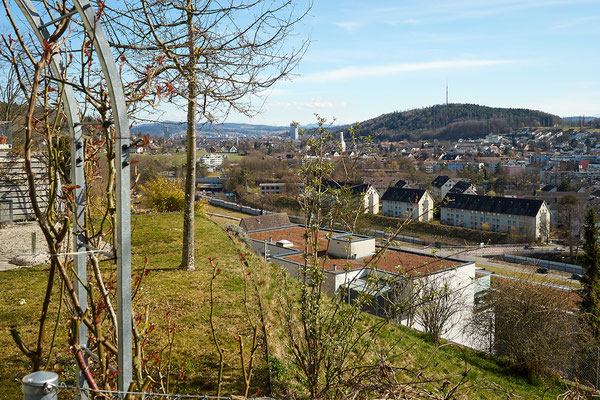 Rundweg Winterthur, Etappe Taggenberg