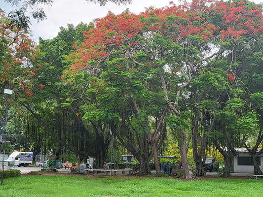 Wat Don Cemetery