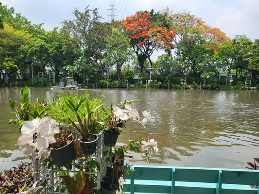 Wat Pra Rama IX