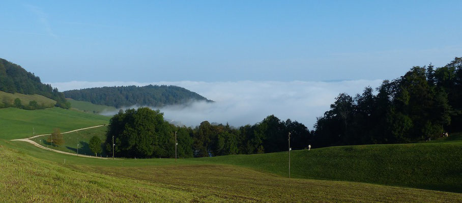 Nebel bis zum Hof Wasserberg