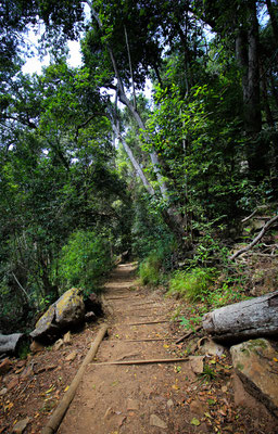 Wanderweg