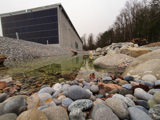 Biodiversität duch Umgebungsgestaltung auf Industriegelände