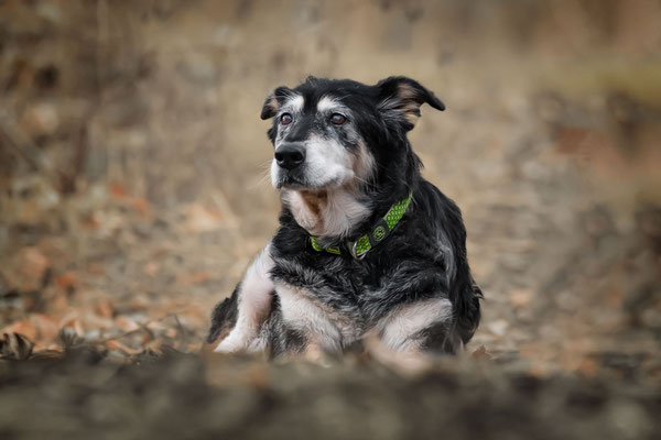 Mercedes, 15 Jahre