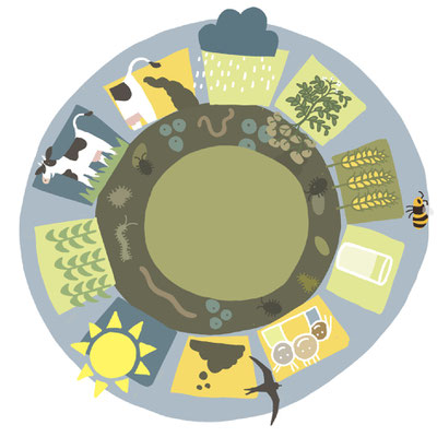 AgroAgenda - circulaire landbouw