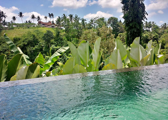 Amora Villas - Ubud