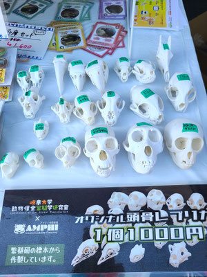 岐阜大学のテントで販売していました