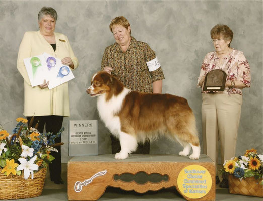 ASCA / AKC CH Calais Carolina Northern Exposure DNA-CP  “Rudee”