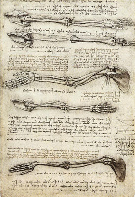 1510- Etude mouvement du bras