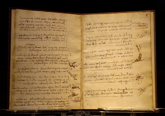 1485- Ecriture spéculaire (en miroir)