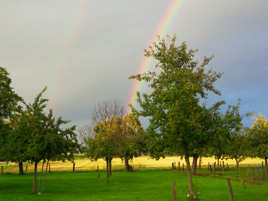 Regenbogen, Natur