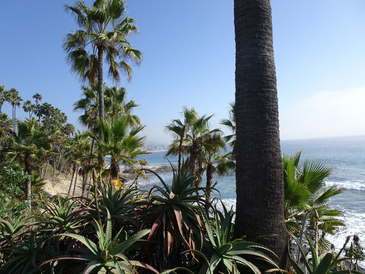 Laguna Beach (Californie)