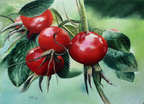 Hagebutten II, Öl-Pastellkreide, 40 x 56 cm, 2020