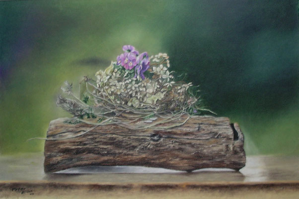 Stiefmütterchen auf Holz II, Öl-Pastellkreide, 35 x 55 cm, 2016 