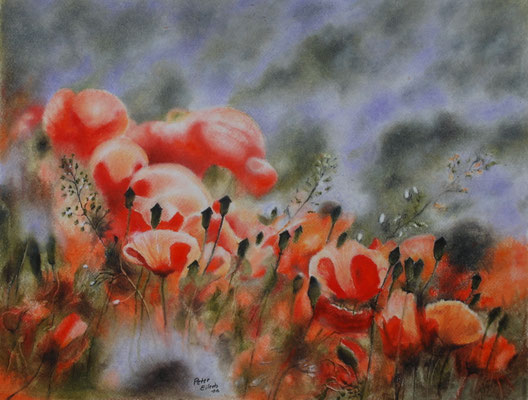 Mohnfeld, Öl-Pastellkreide, 34 x 45 cm, 2016  