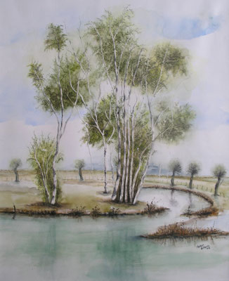 Friesland I Aquarell, 42 x 51 cm, 2008