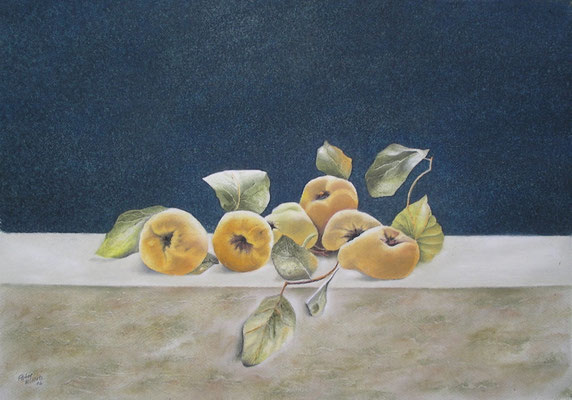 Stillleben mit Quitten, Öl-Pastellkreide, 40 x 56 cm, 2017 