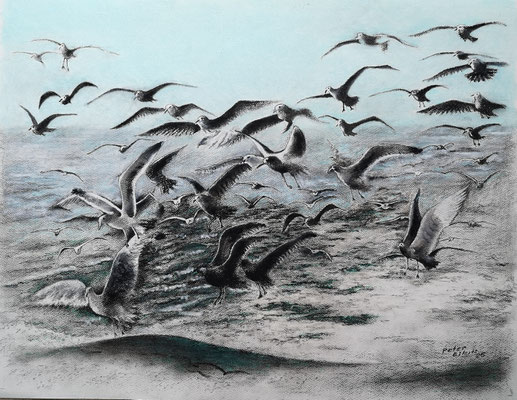 Futterneid, Mischtechnik, 47 cm x 62 cm, 2025