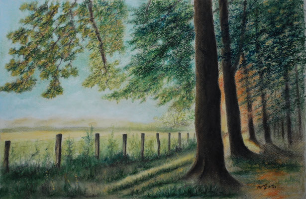 Am Waldrand, Öl-Pastellkeide, 37 x 48 cm, 2013
