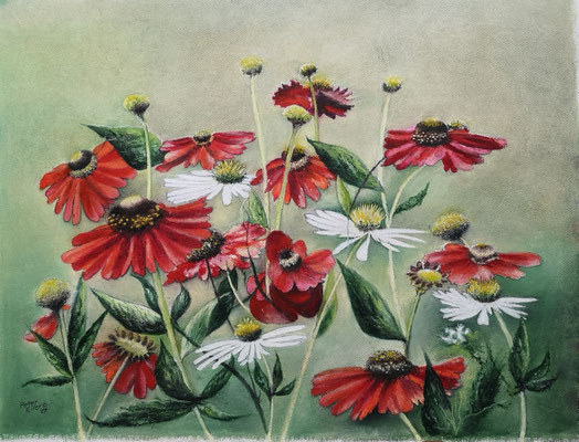 Sonnenbraut, Öl-Pastellkreide, 45 x 59 cm, 2024