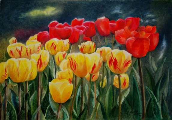 Keukenhof, Öl-Pastellkreide, 34 x 49 cm, 2019  
