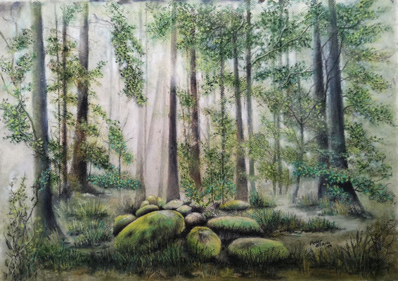 Darßer Urwald, Mischtechnik, 34 x 49 cm, 2024