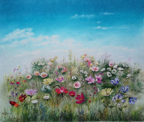 Streublumen-Wiese, Öl-Pastellkreide, 47 x 55 cm, 2021