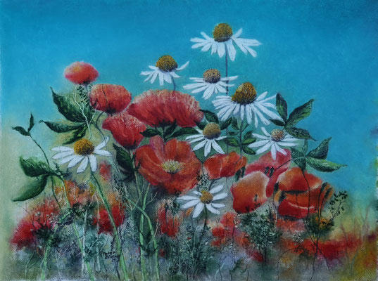 Klatschmohn mit Sonnenhut, Öl-Pastellkreide, 40 x 54 cm, 2024