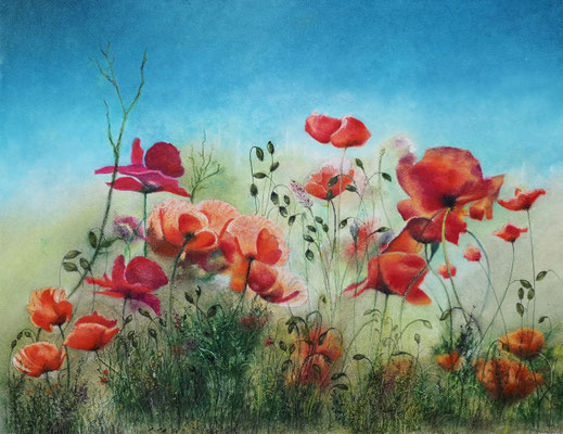 Klatschmohn, Öl-Pastellkreide, 43 x 56 cm, 2021