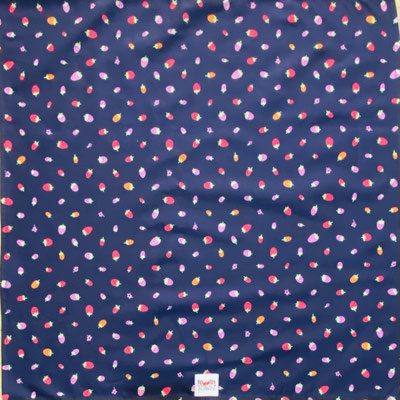Find the Snail
