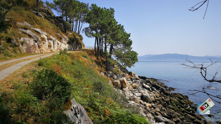 Descubriendo tesoros naturales en las Islas Cíes