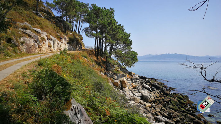 Islas Cíes el hogar de aves migratorias y especies marinas únicas