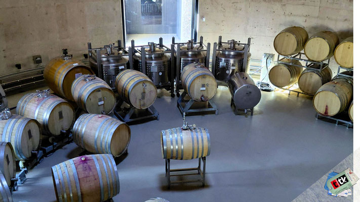 Toneles de roble francés