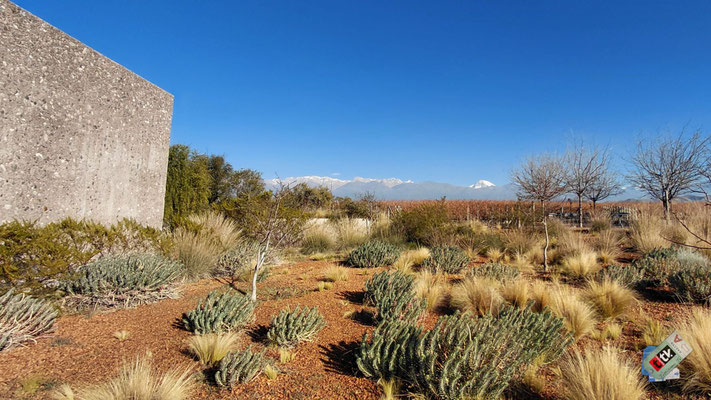 Valle de Uco otoño