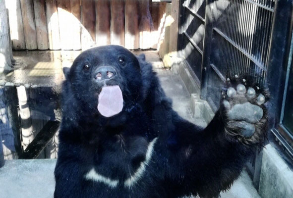 大宮公園小動物園