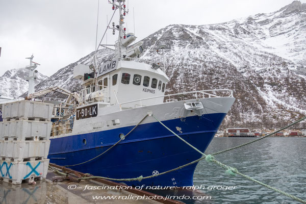Norwegen, Senja, Husøy, Ralph Gröger, rallephoto, www.rallephoto.jimdo.com