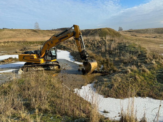 Schaffung von neuen Lebensräumen für die Wechselkröte (Foto: Dietrich Peter)