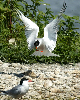 Foto: Paul Schmuck