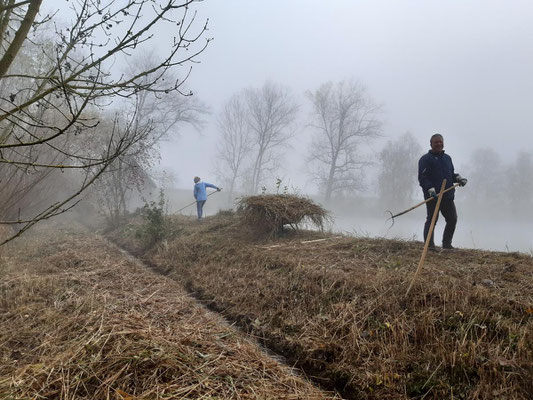 Schwabaich im Nebel