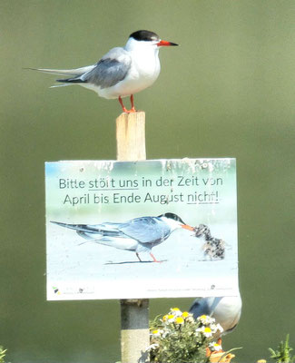 Foto: Paul Schmuck